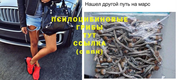 твердый Нефтекумск