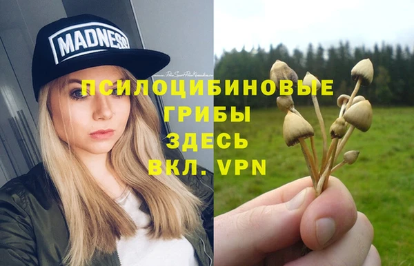 твердый Нефтекумск