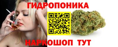 винт Дубна