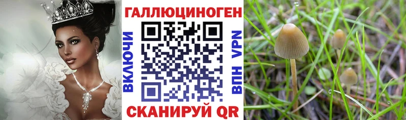 Галлюциногенные грибы Cubensis  Краснознаменск 