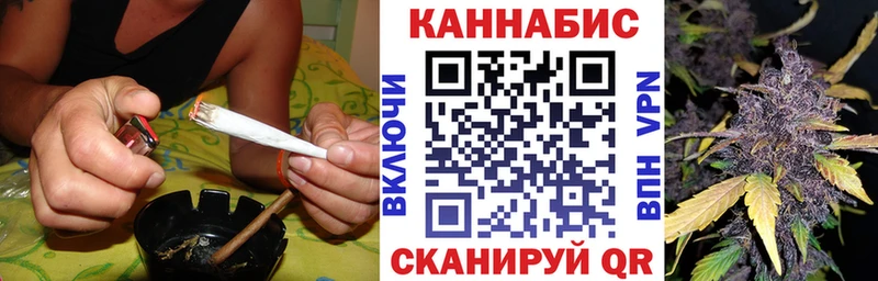 как найти наркотики  Краснознаменск  Марихуана семена 